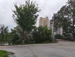 城市中绿树环绕的开阔道路