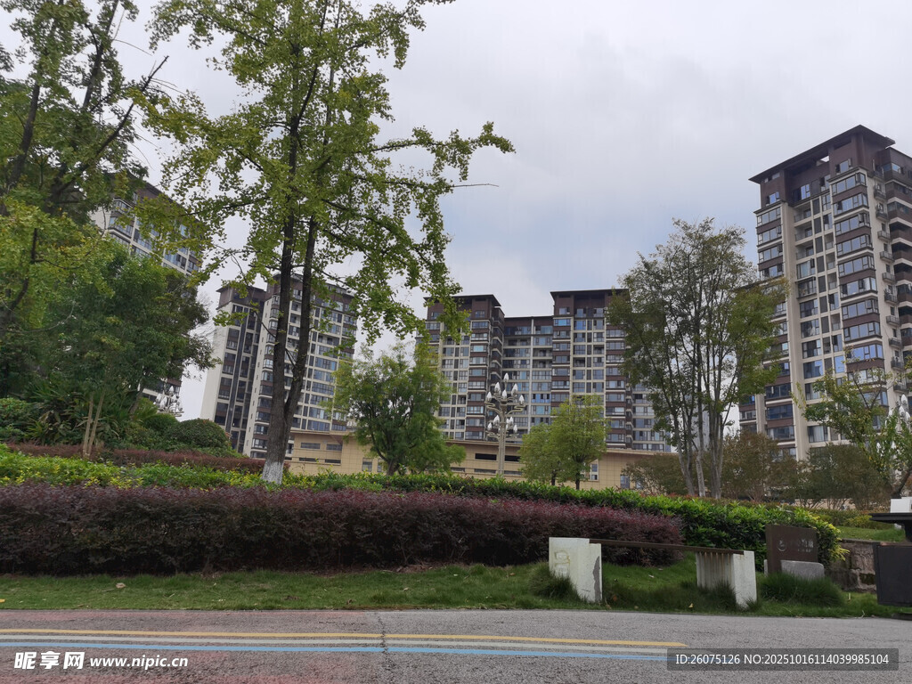 城市住宅区周边绿化景观