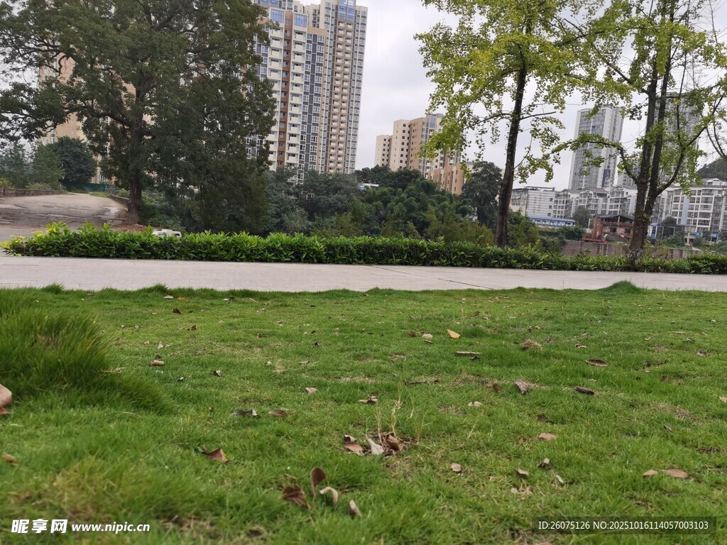 城市中的绿草地景观