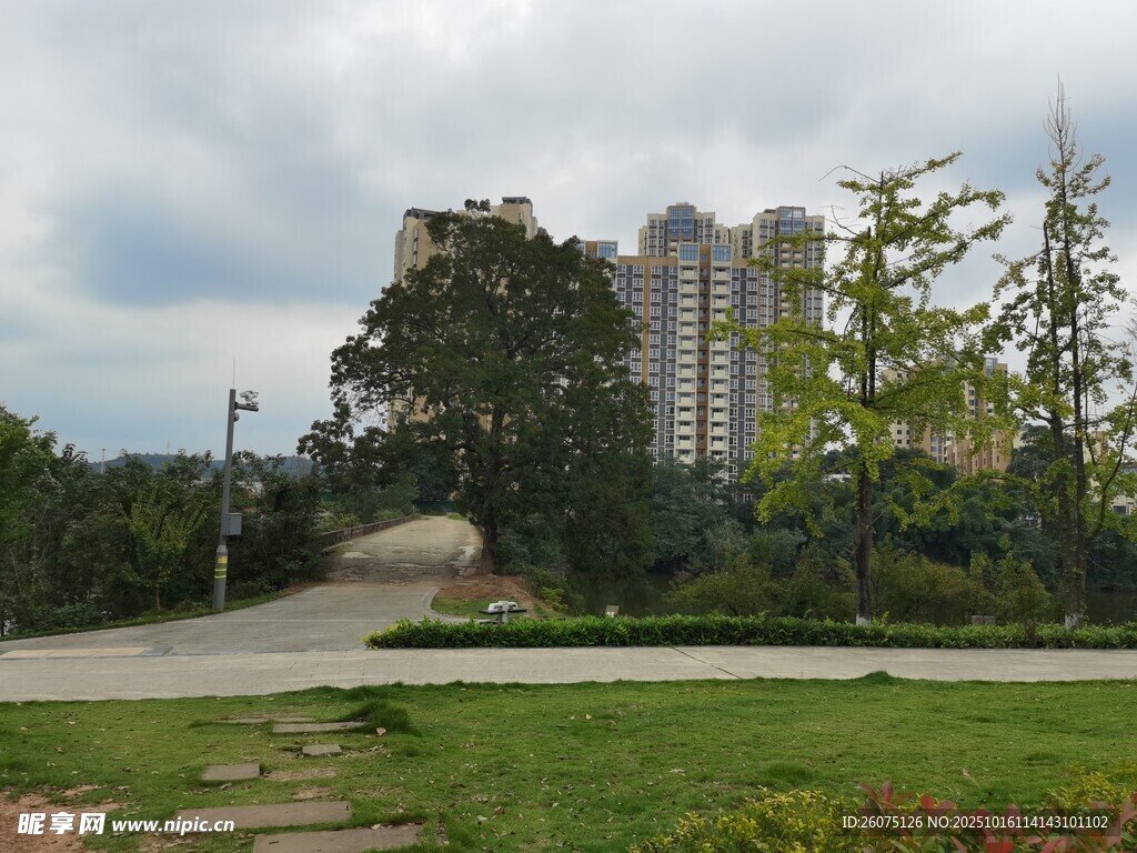 城市中的绿化景观道路