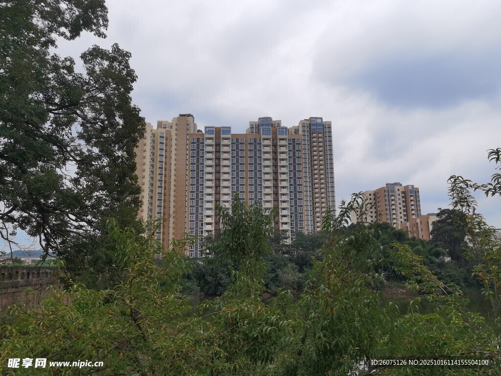 绿树掩映中的高层住宅楼