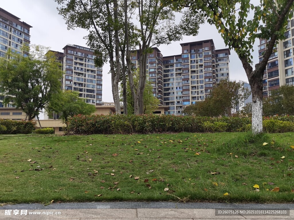 小区旁的绿地与高楼景观