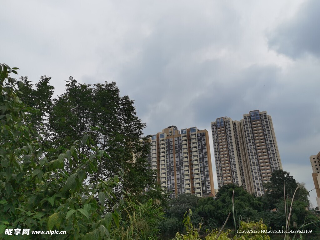 绿树环绕的高层住宅楼