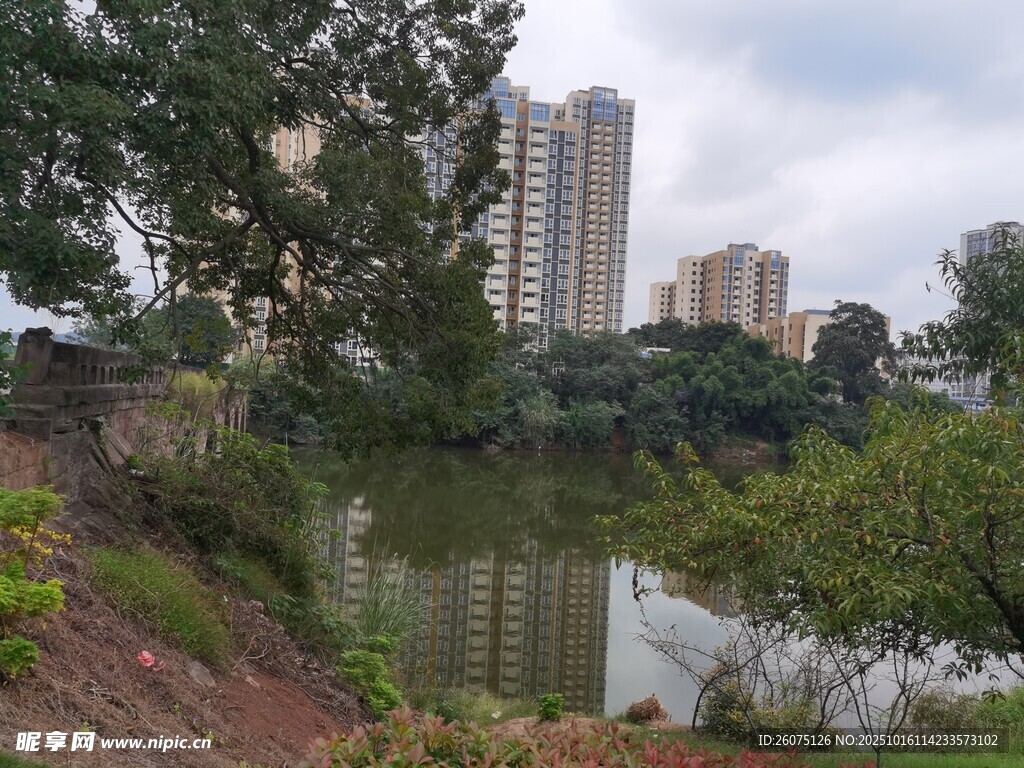 城市河畔绿树环绕景致