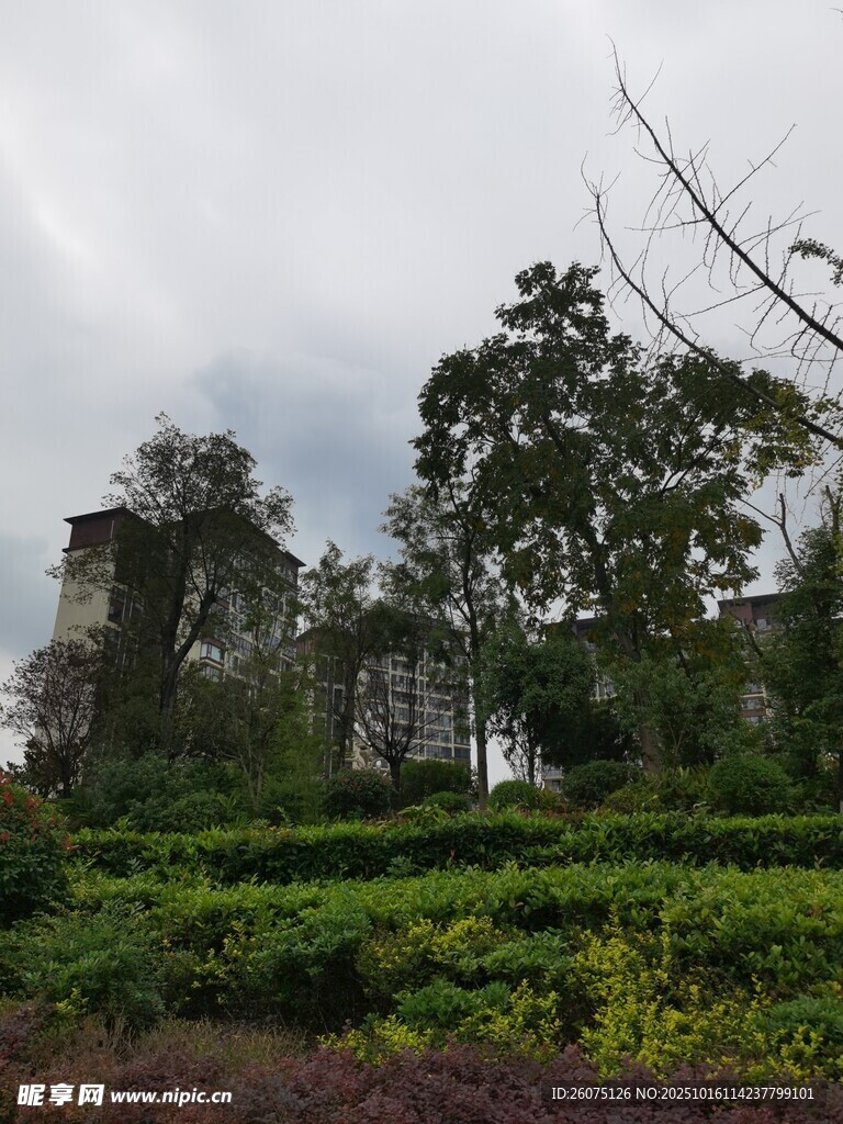 山林中的古塔与绿植景观