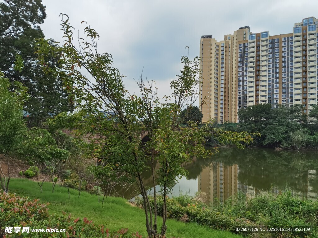 湖畔绿植旁的高层住宅