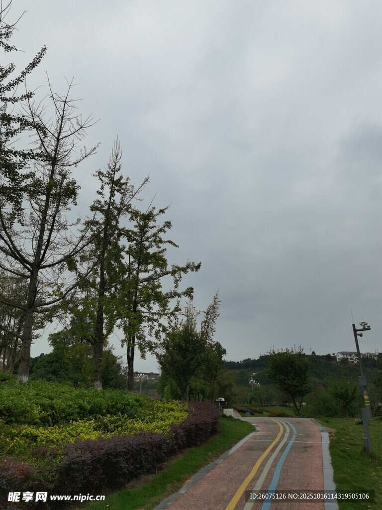雨中蜿蜒的多彩步道景观