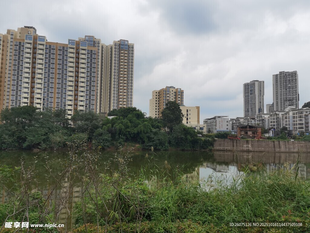 城市河畔的高楼与绿植