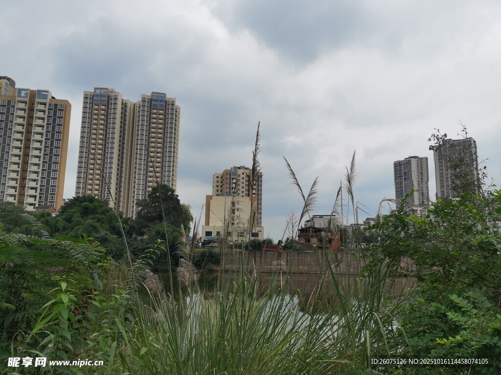 城市中荒废区域与高楼景观