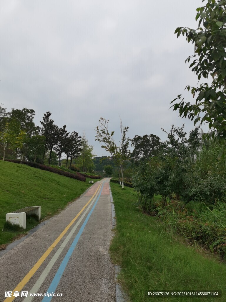 乡村多彩小路绿意盎然