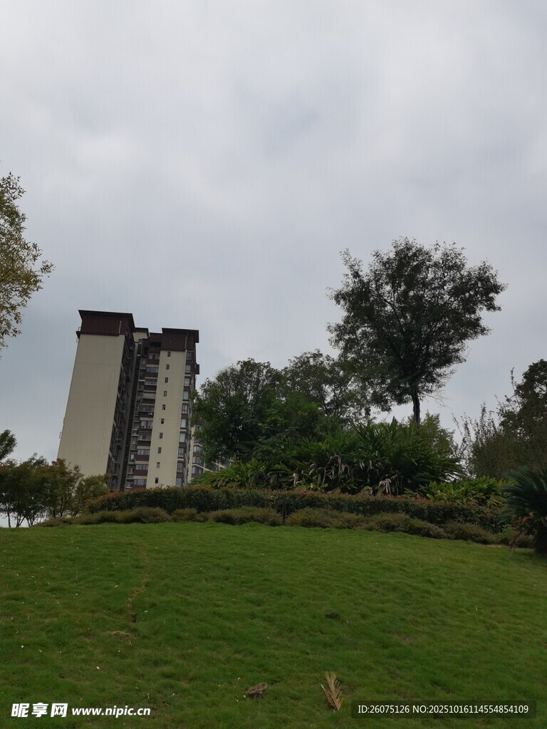 草地旁的高楼与绿树景观