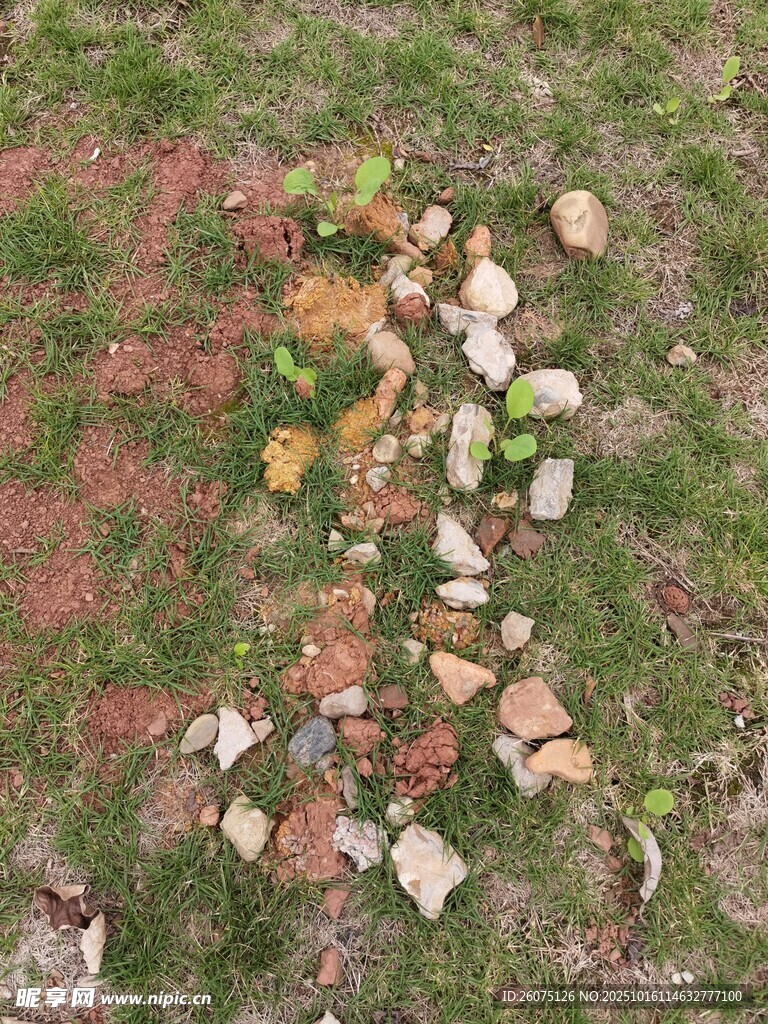 草地上的多彩石块组合