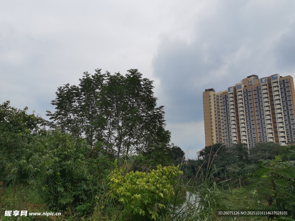 城郊绿植旁的高层住宅楼