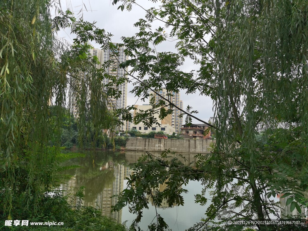 湖畔绿树环绕的静谧景致