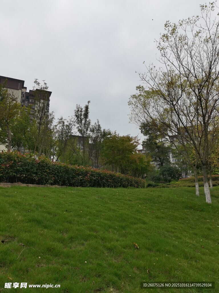 户外绿地景观