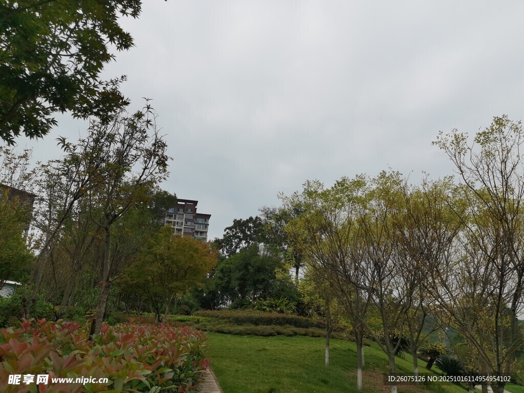 户外园林景观优美景色