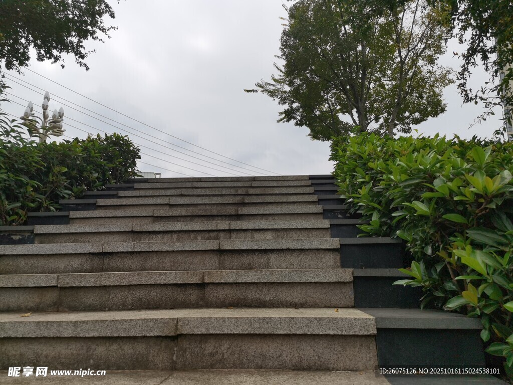 户外石阶与绿植景观