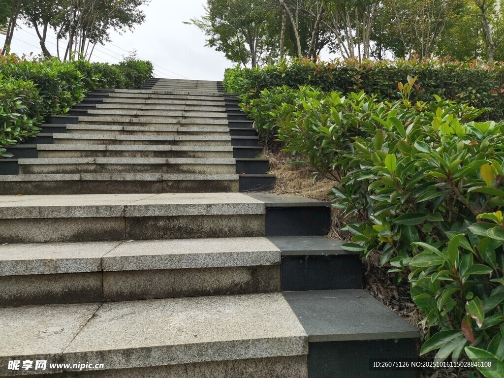 户外石阶旁绿植景观