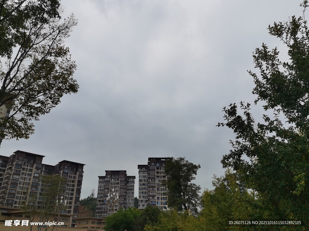 城市楼宇与绿树相映成景