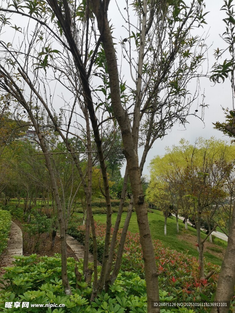 春日园林景致