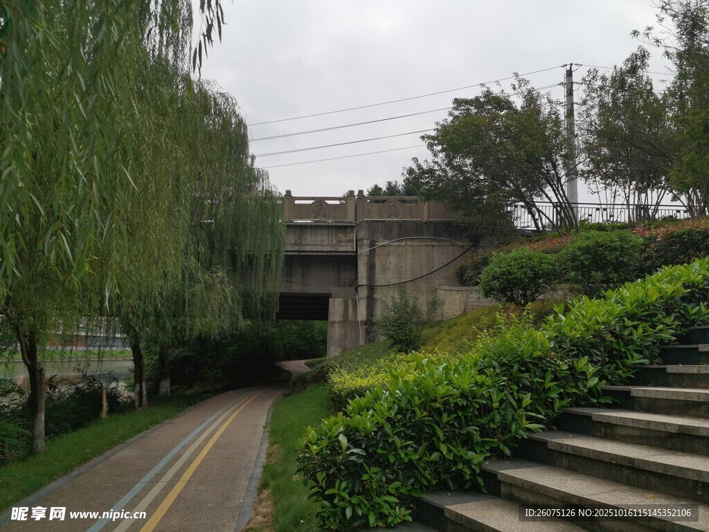 林荫小道旁的石阶与建筑