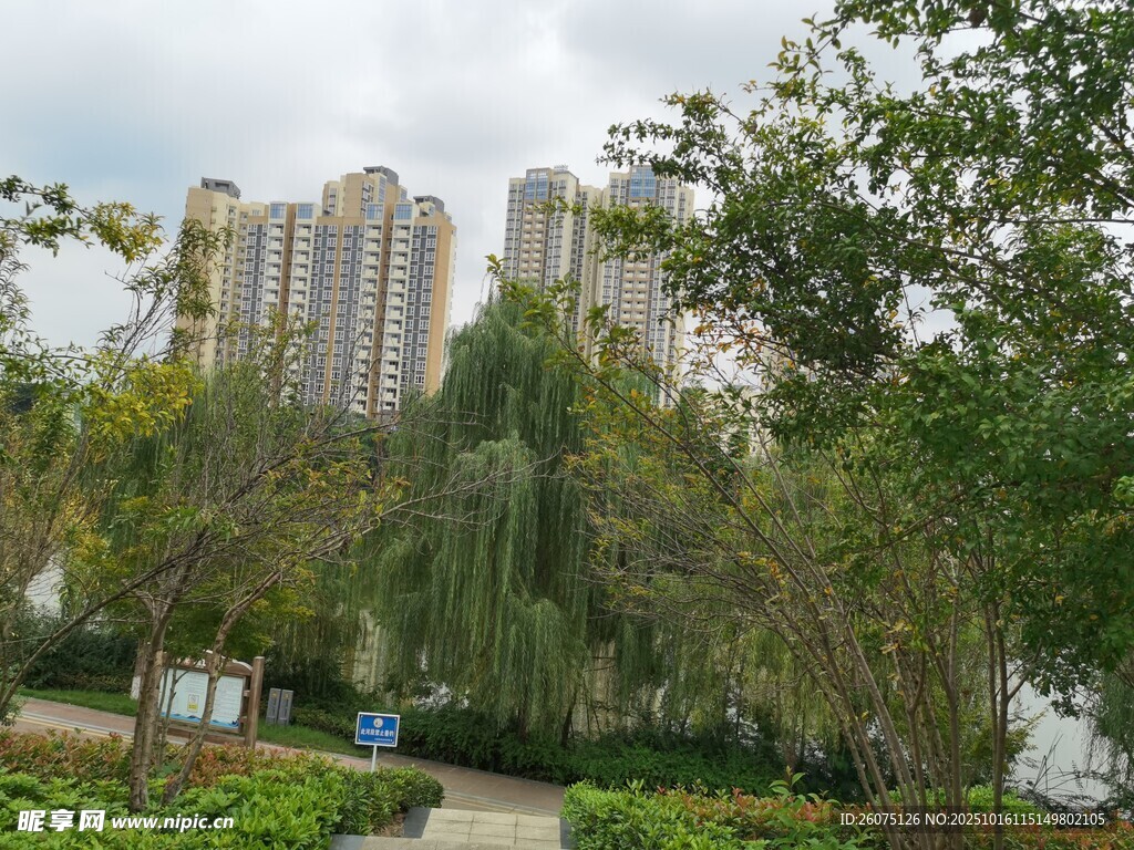 湖畔绿树旁的高楼景观