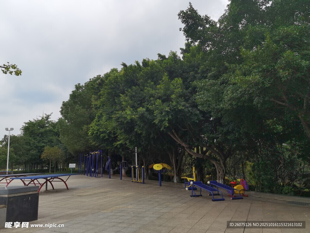 公园休闲场景