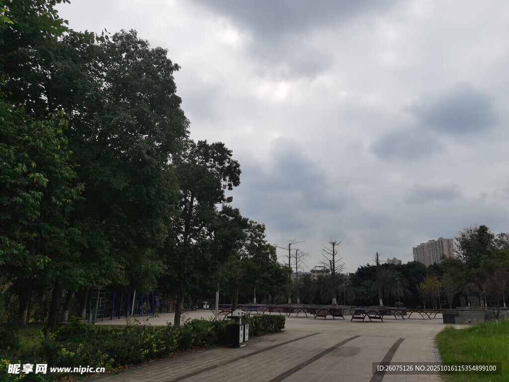阴天的城市公园道路景象