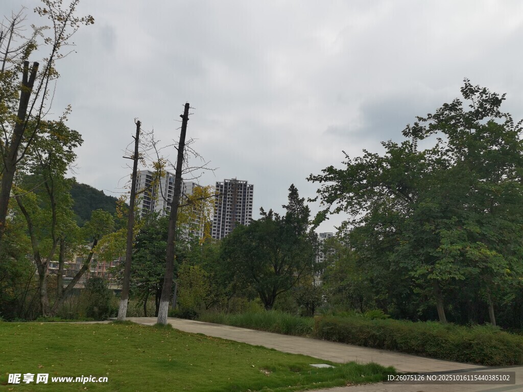 城市公园绿意盎然景致