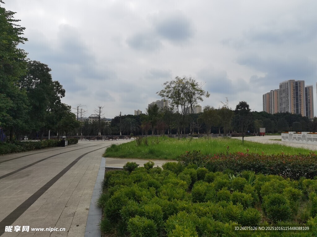 城市中的绿植景观道路
