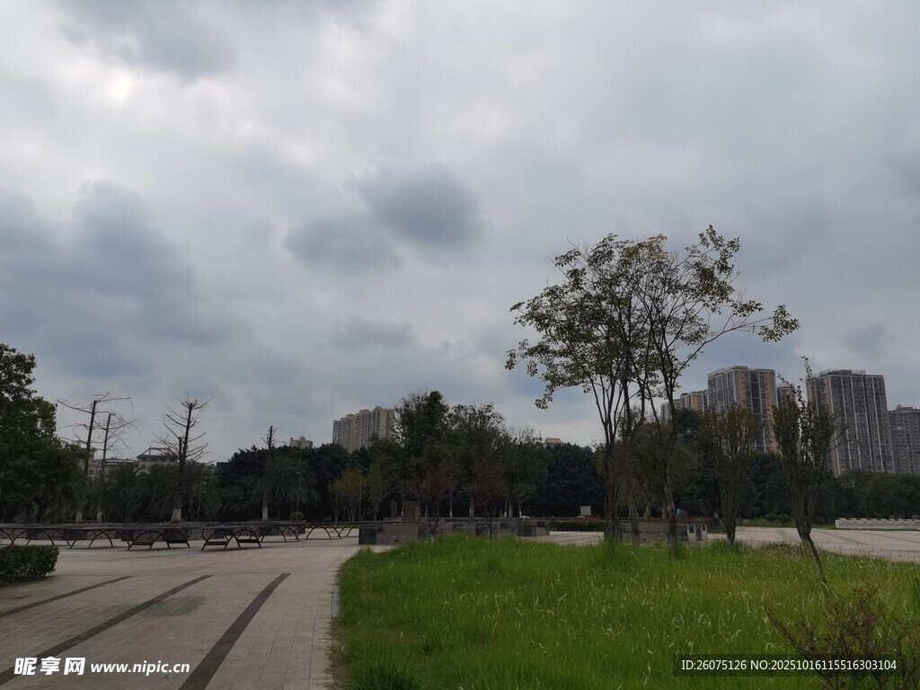 阴天城市道路旁绿化景观