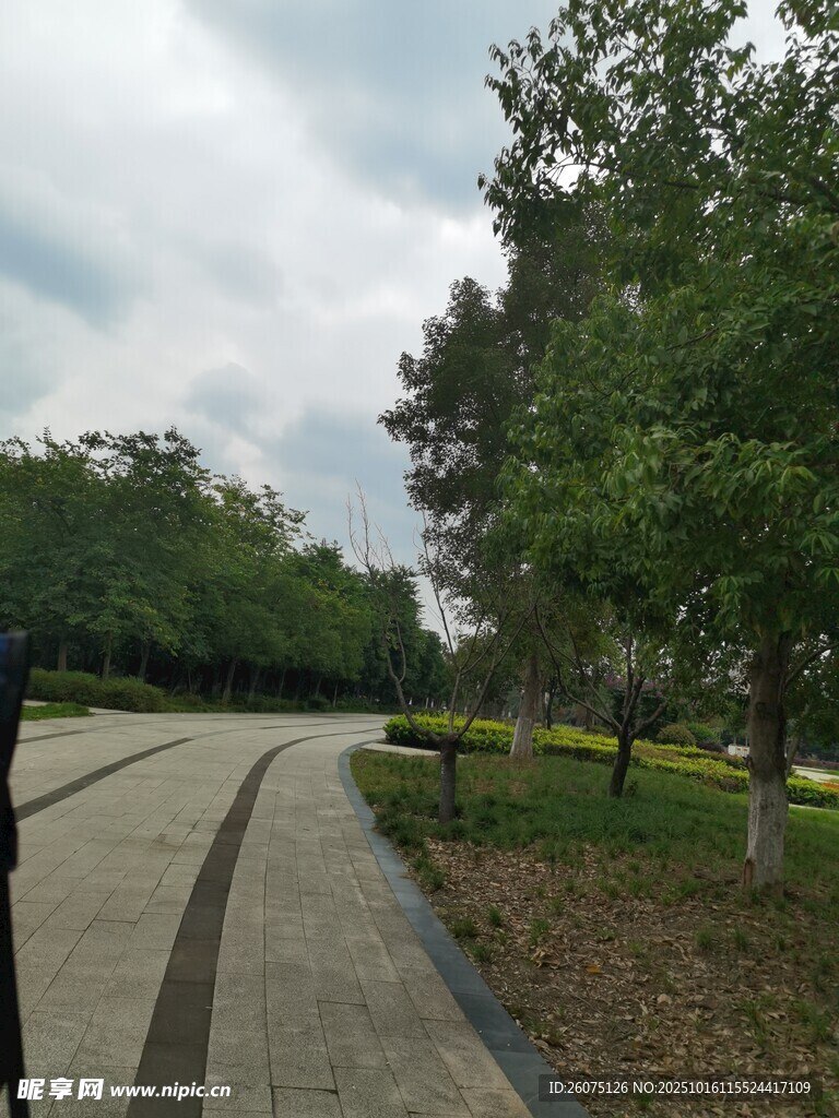 公园林荫步道景观