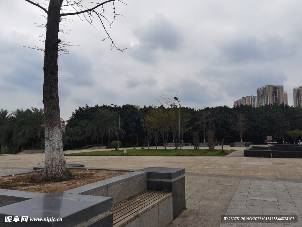 公园空旷场地与树木景观