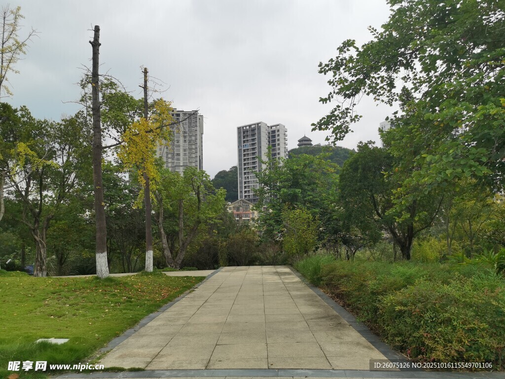 城市中的宁静林荫步道