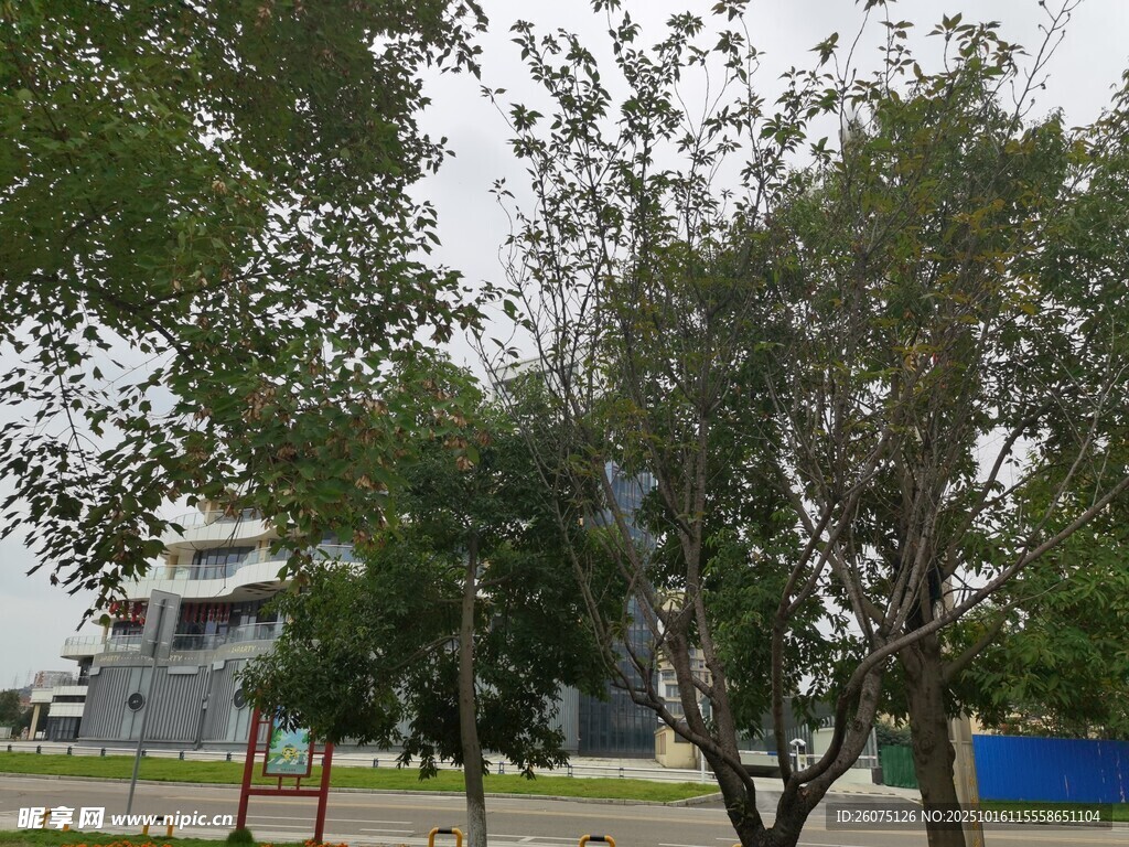 户外绿树旁的建筑景观