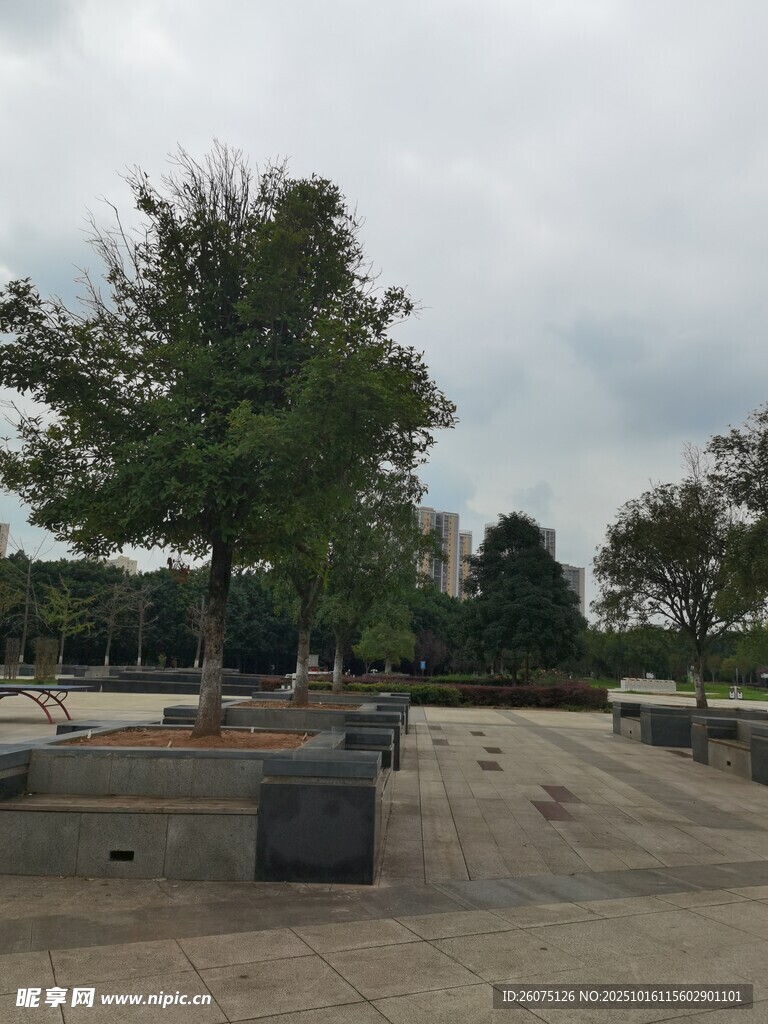 户外开阔场地与树木景观