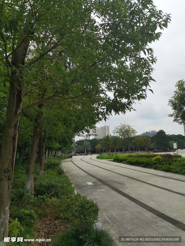 林荫步道静谧城市风景线