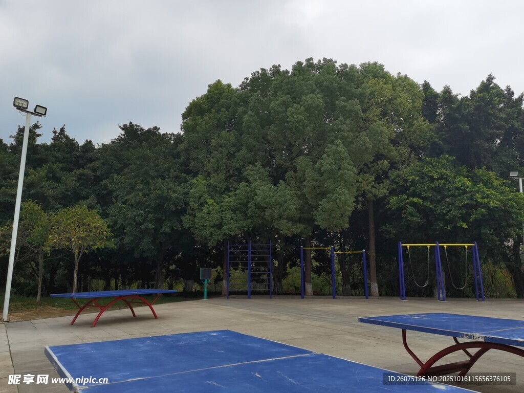 户外蓝乒乓球台及周边景色