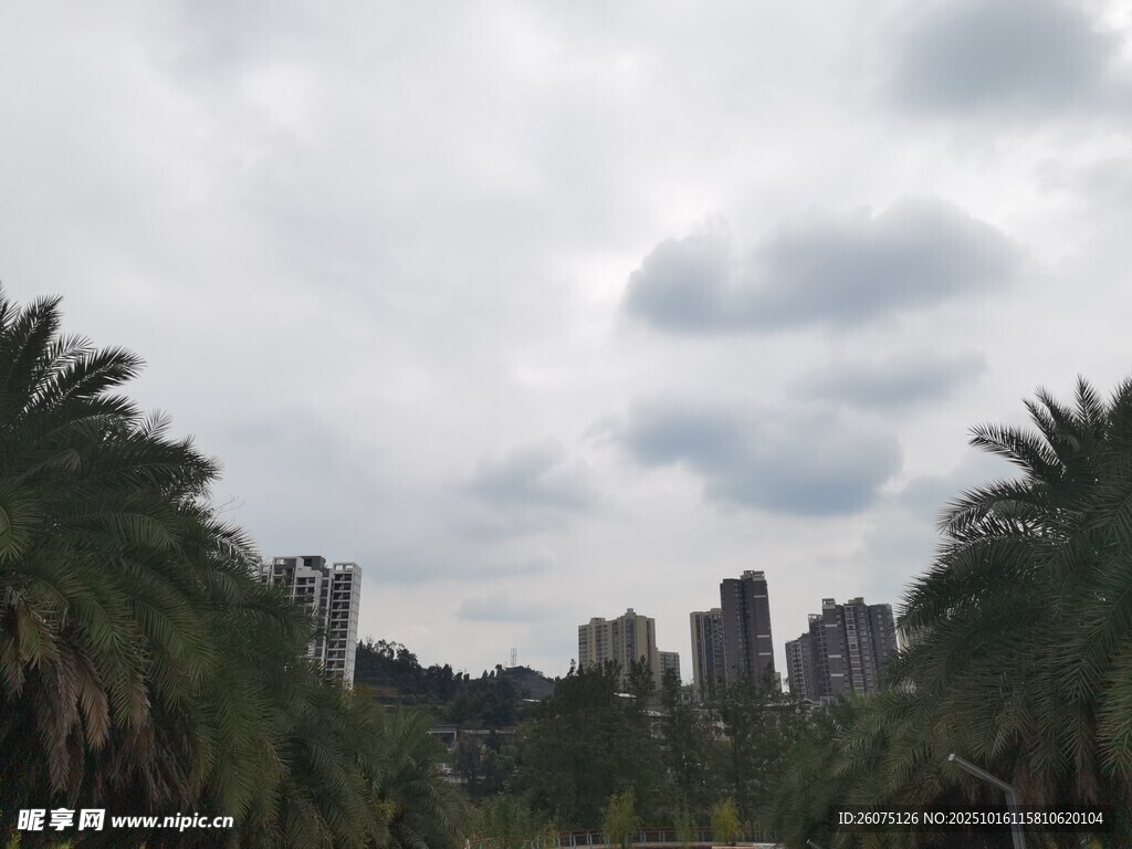 城市中林立高楼与绿植景观