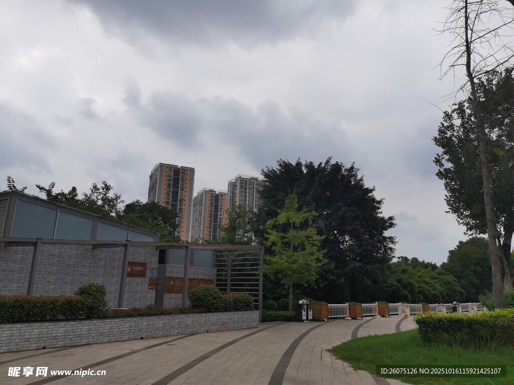 城市公园中的开阔景致