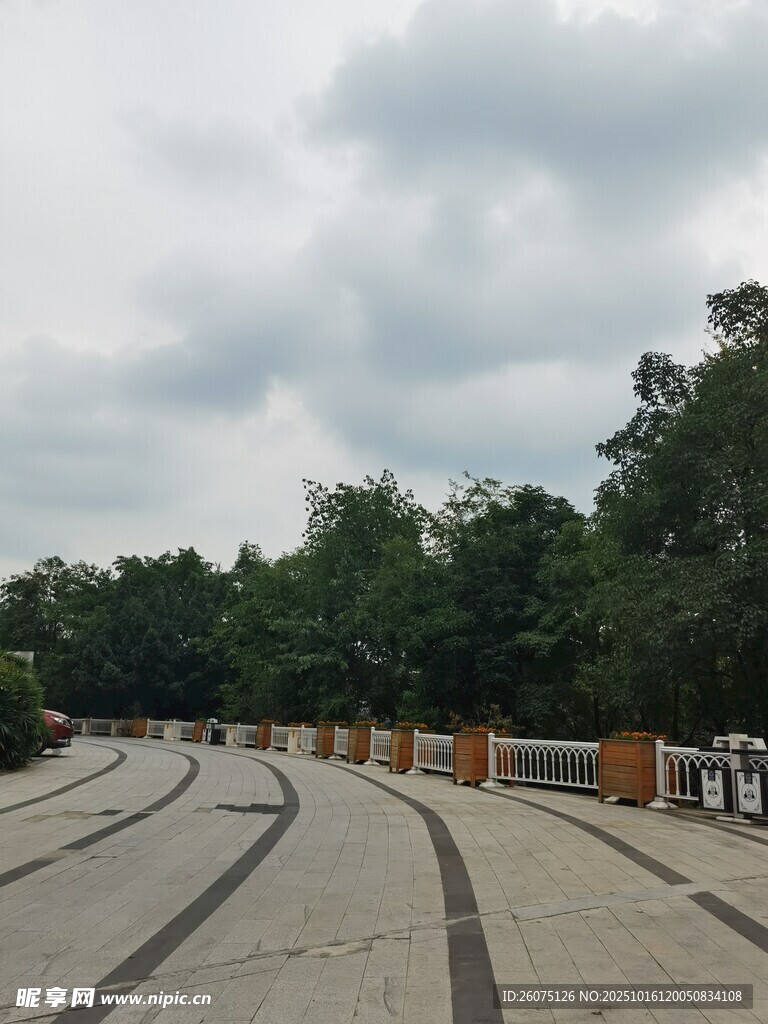 户外开阔道路与茂密树林