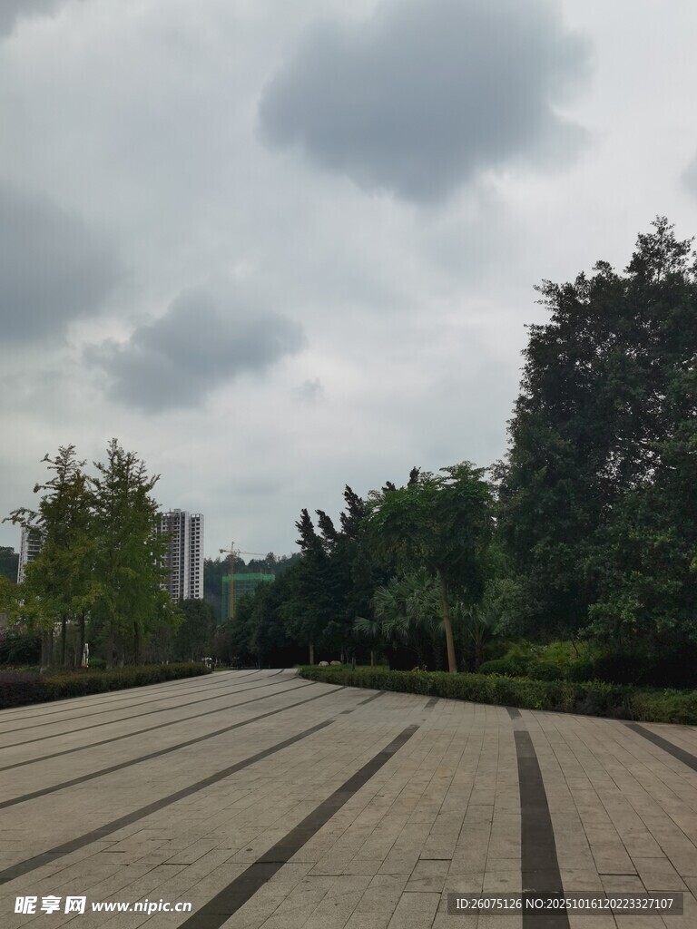 空旷广场与周边绿树景观