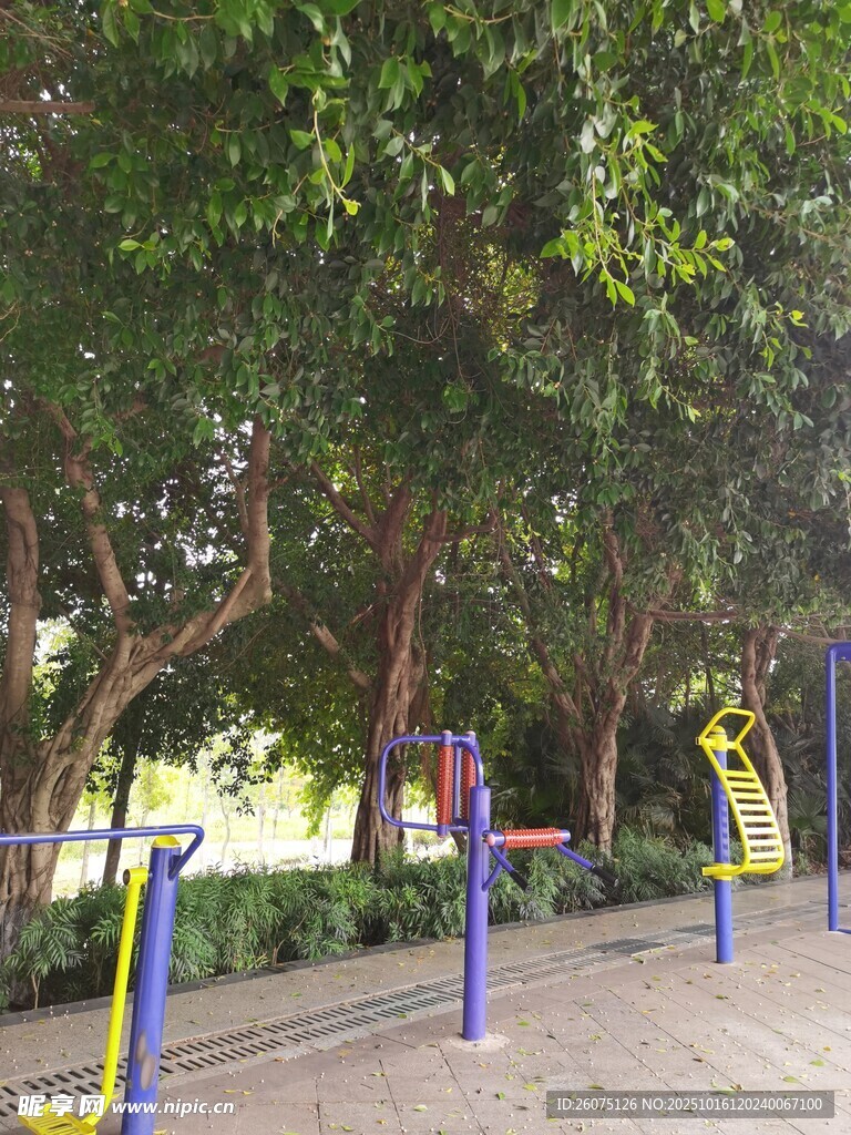 公园中的户外健身设施