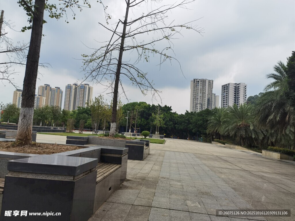 城市公园中的宁静步道