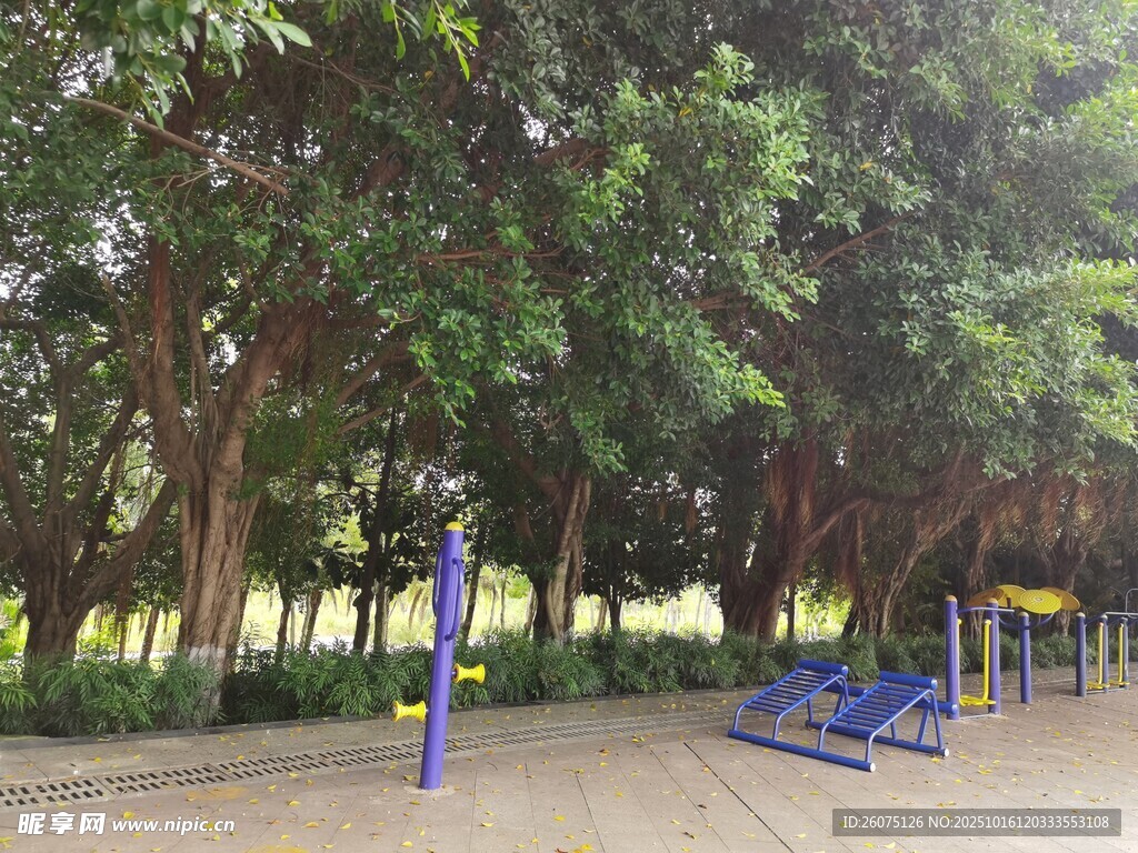 公园中的户外健身设施场景