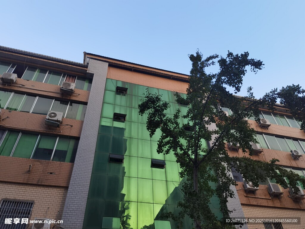 现代绿玻璃外墙办公建筑