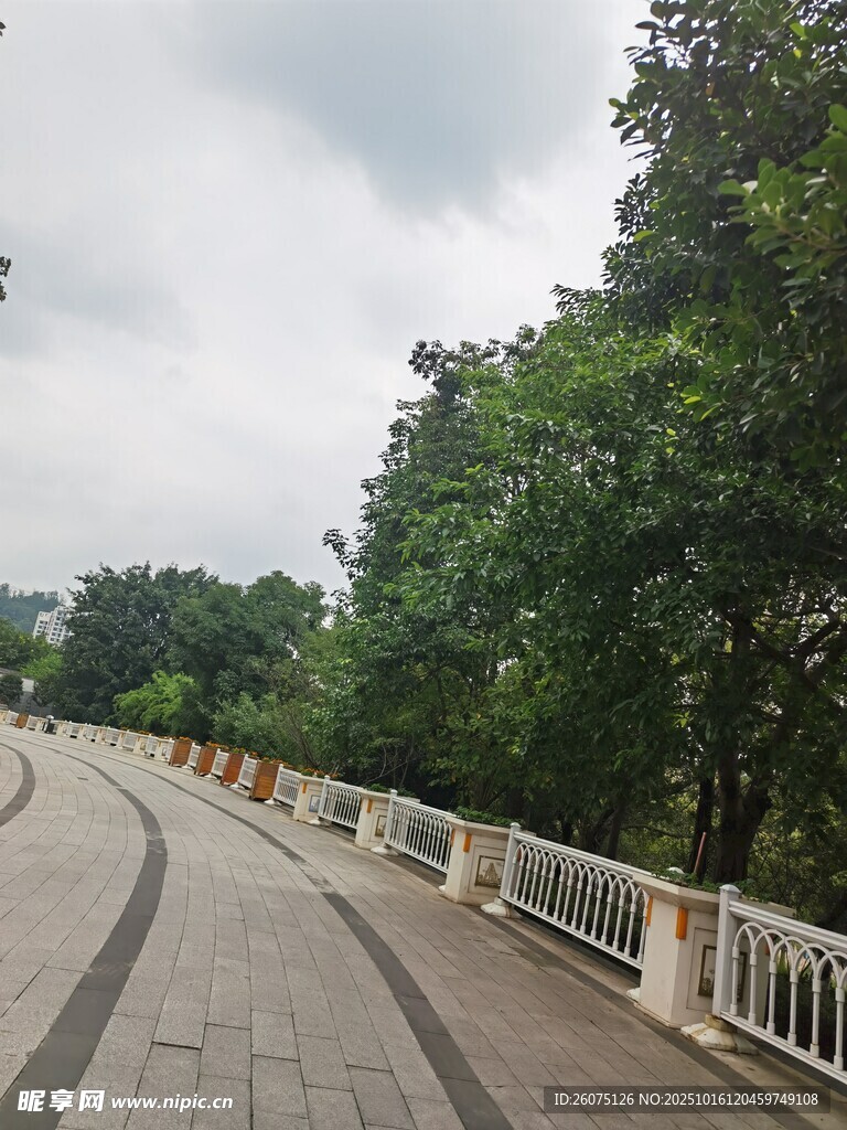 林间蜿蜒步道风景宜人