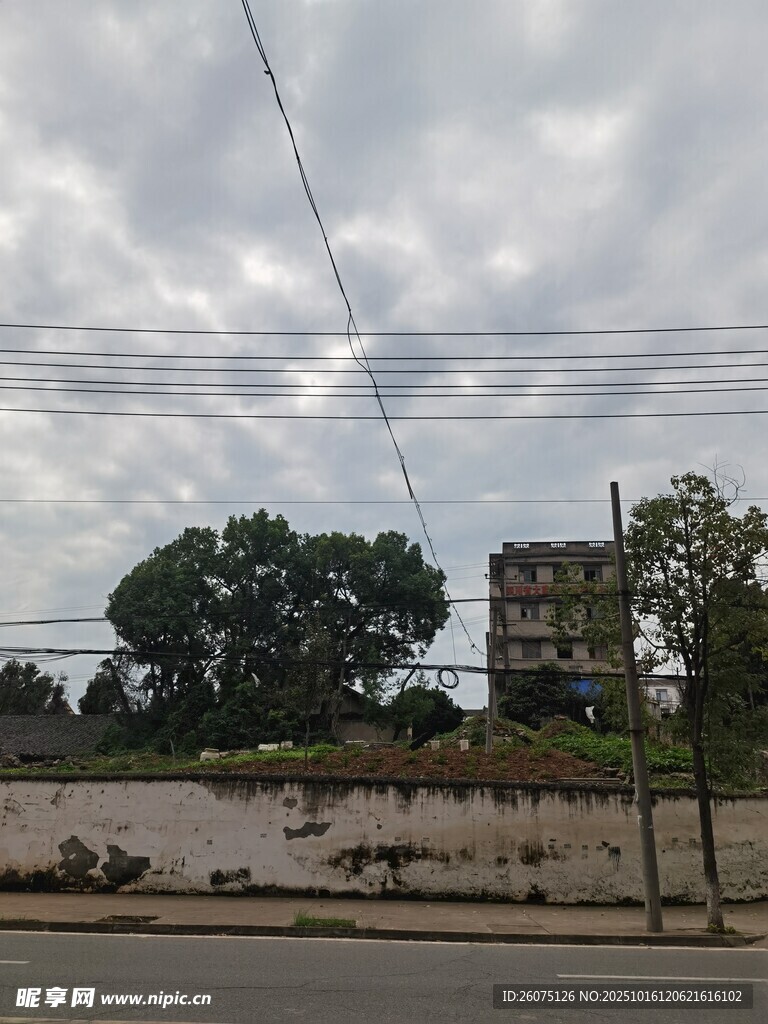 城郊荒废建筑与树木景观