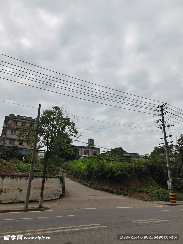 乡村道路旁的电线与建筑