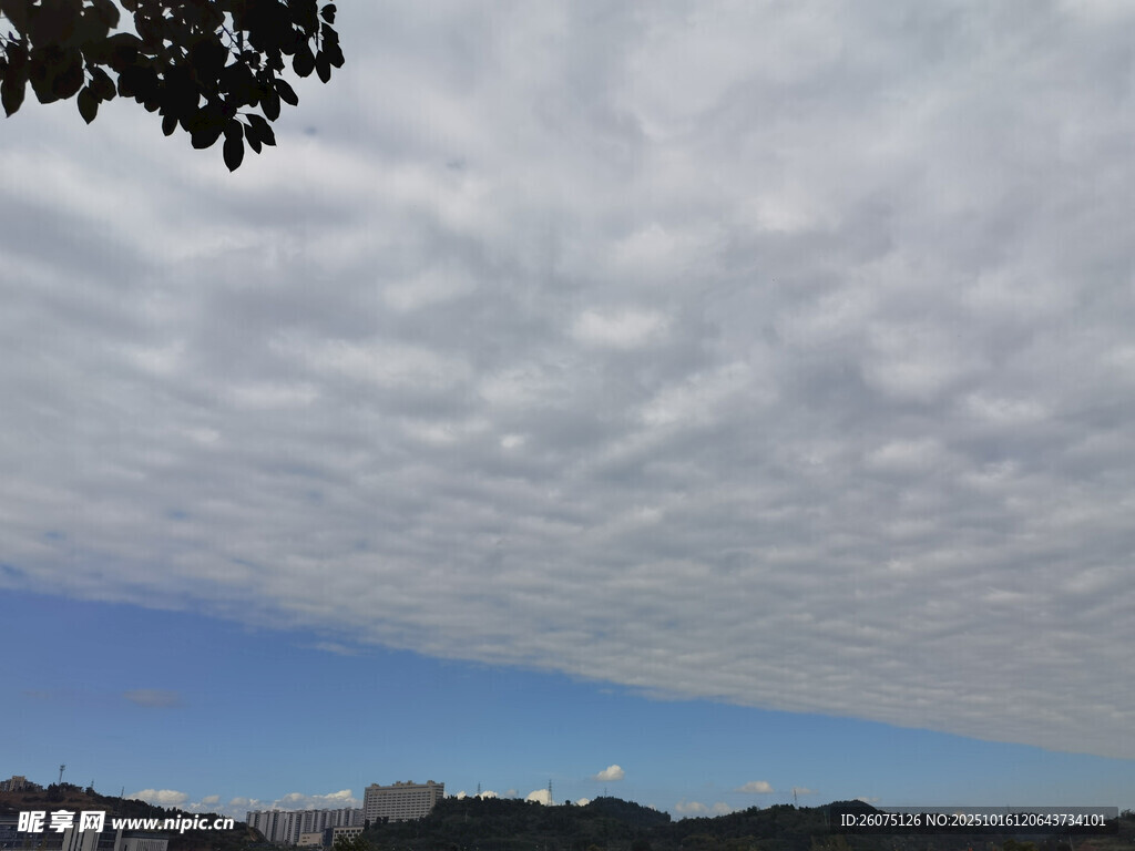 天空中密布的层积云景观